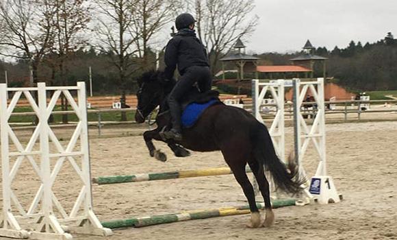 cours équitation