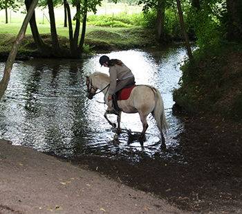 Balade à cheval en Normandie