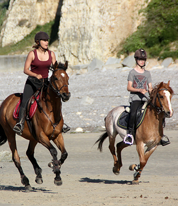 pensions chevaux